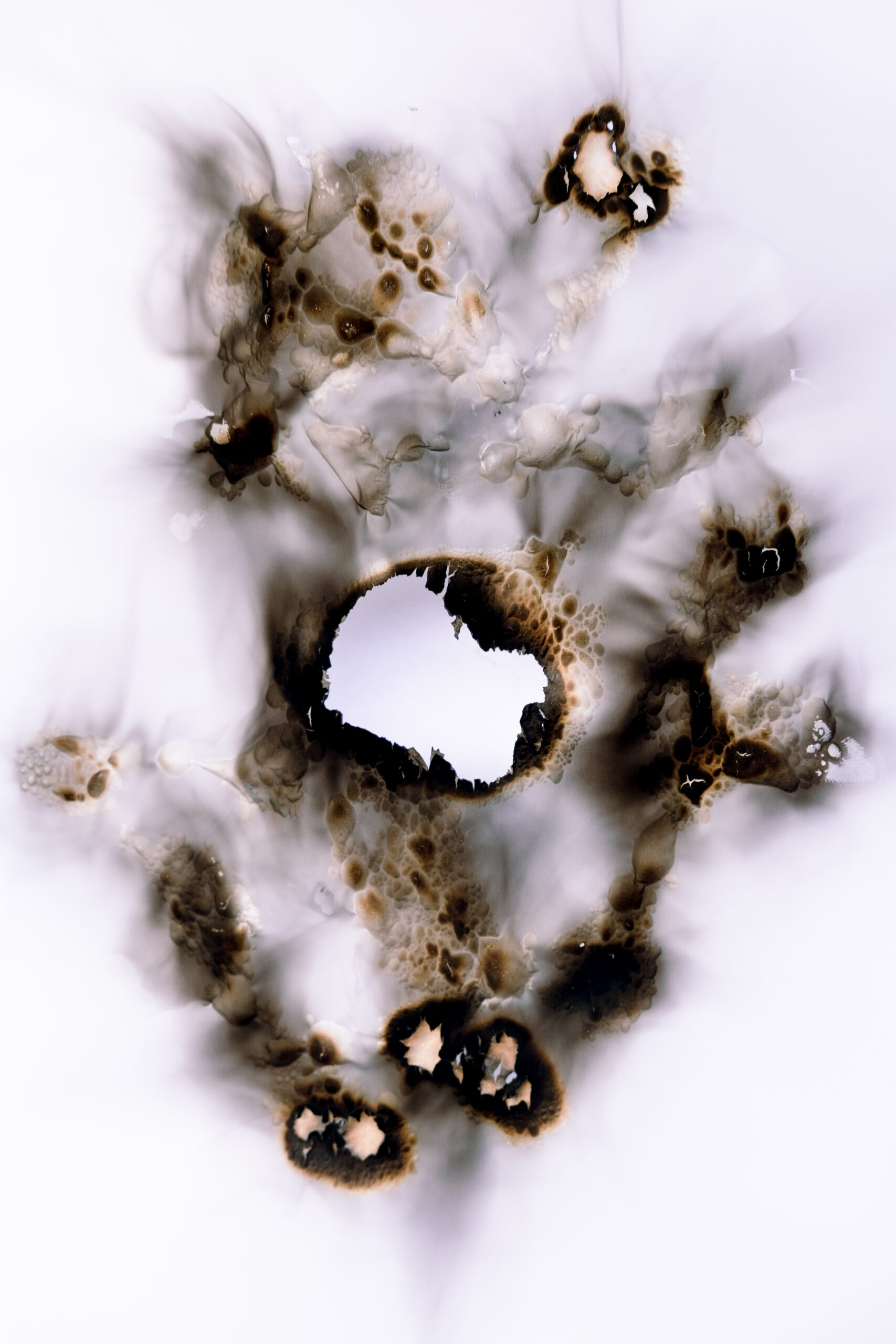 Frederik Weidner Earth Wildfire Freies Projekt
