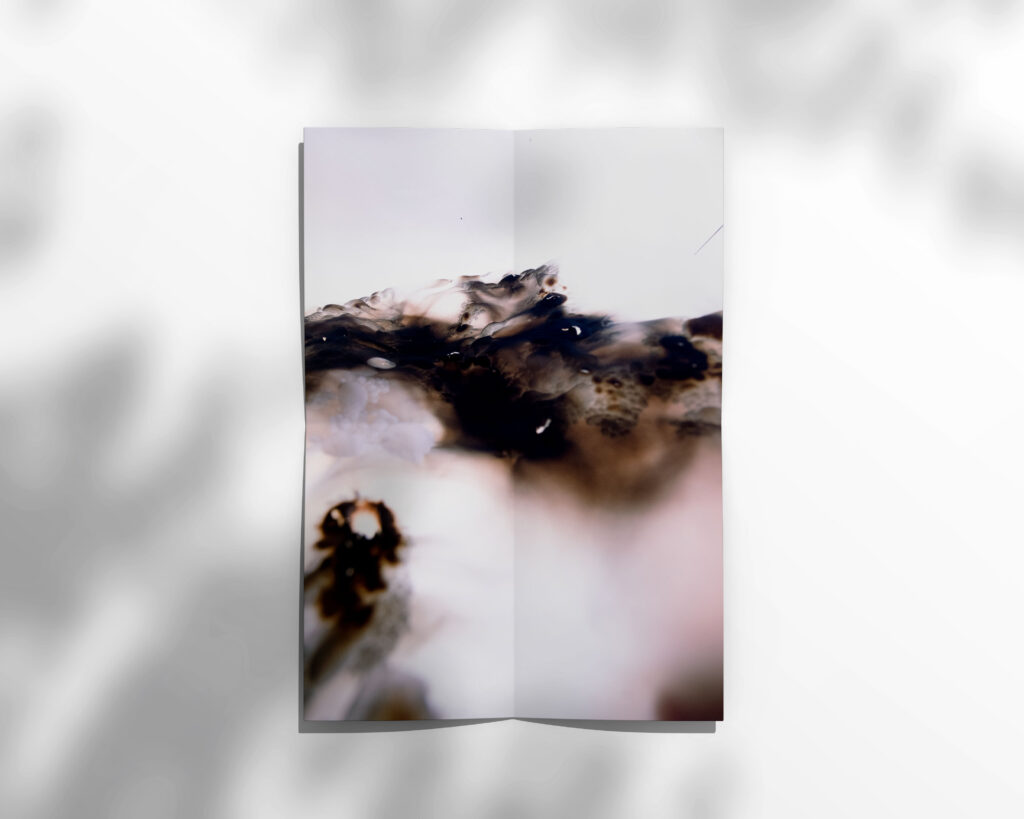 Projekt - Earth Wildfire Kampagne