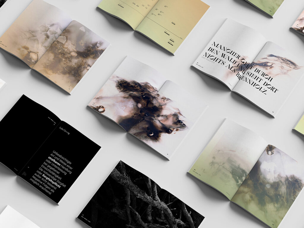 Earth Wildfire - Buch Offene Seiten